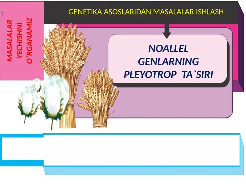 NOALLEL GENLARNING PLEYOTROP TA`SIRI