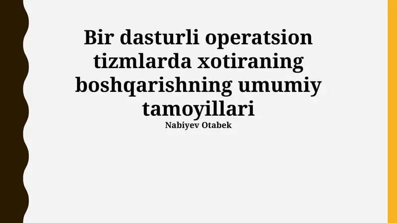 Bir dasturli operatsion tizmlarda xotiraning boshqarishning umumiy tamoyillari