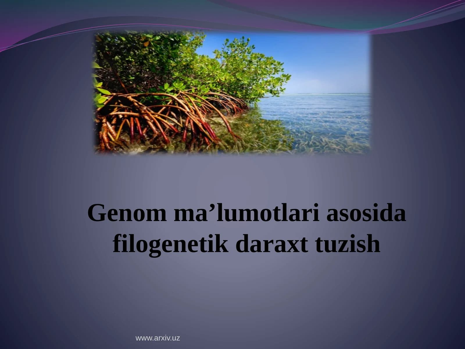 Genomma’lumotlari asosida filogenetik daraxt tuzish