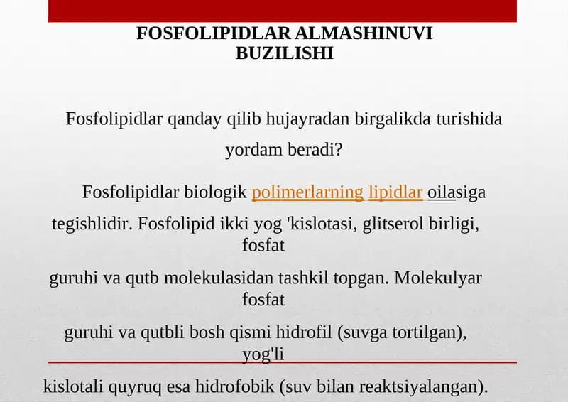 Fosfolipidlar