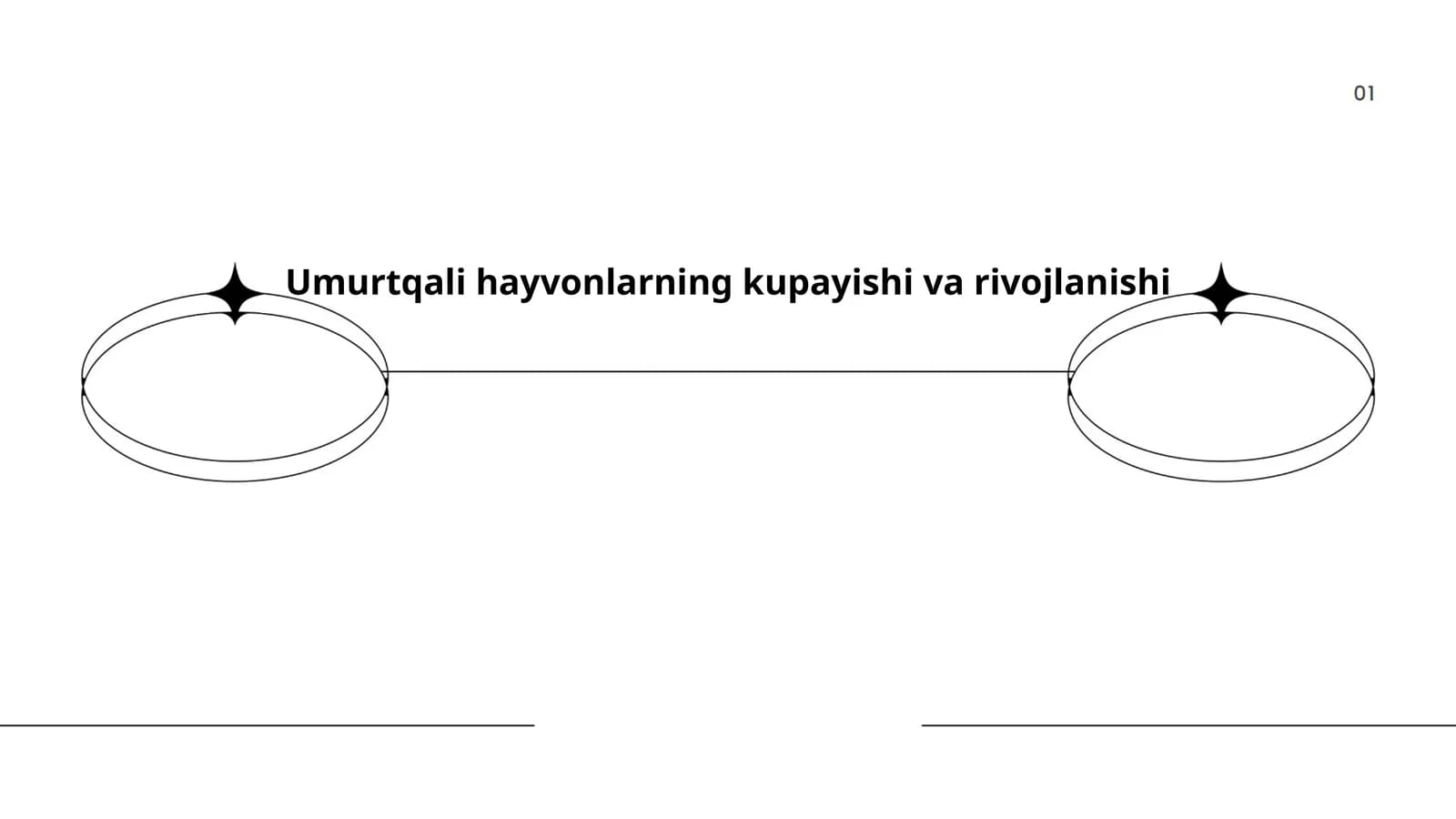 Umurtqali hayvonlarning kupayishi va rivojlanishi