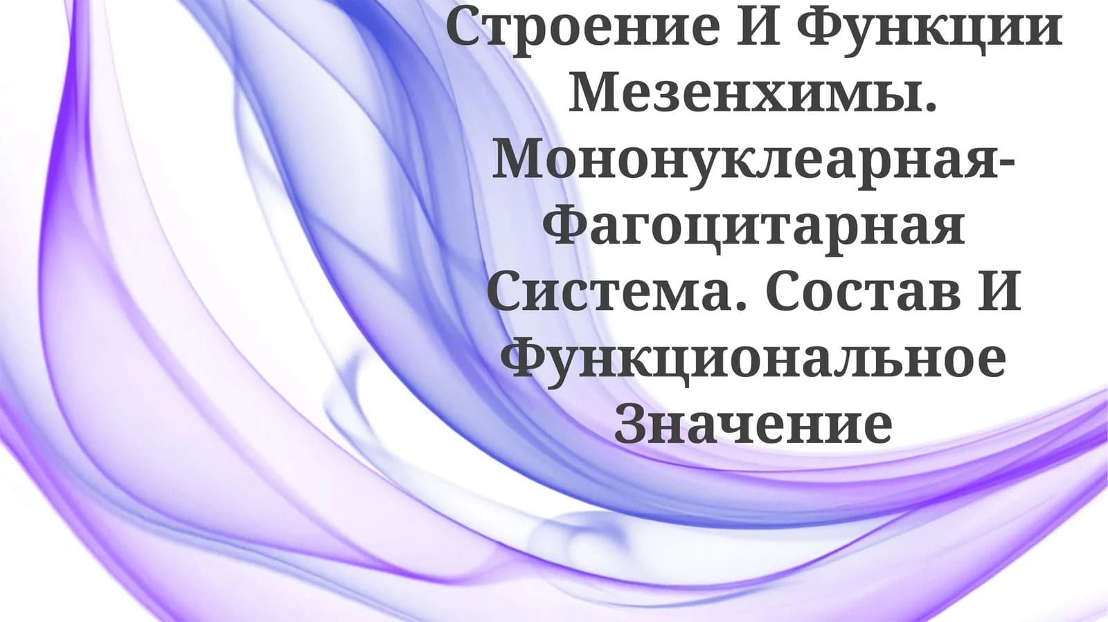 Строение И Функции Мезенхимы. Мононуклеарная-Фагоцитарная Система. Состав ИФункциональноеЗначение
