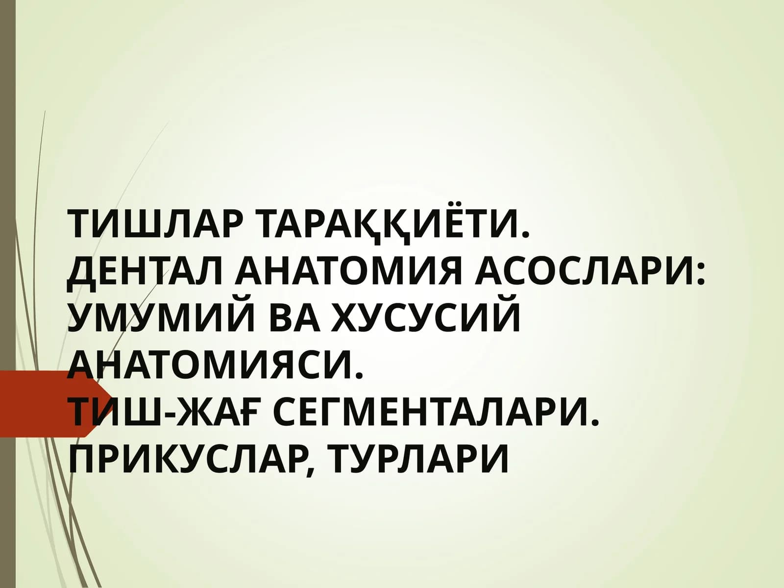 TISHLAR