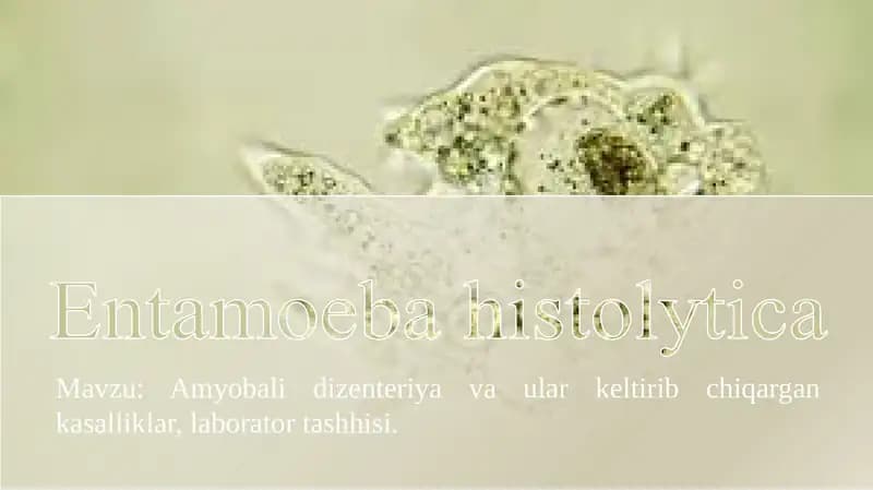 Amyobalidizenteriyavaularkeltiribchiqargankasalliklar,laboratortashhisi