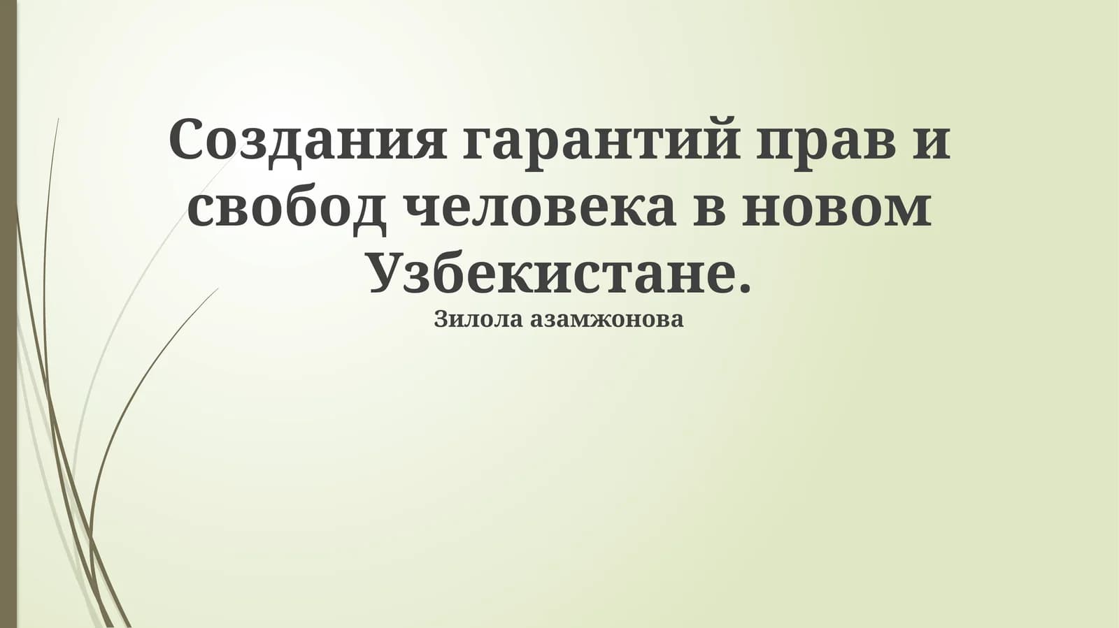 Создания гарантий прав и свобод человека в новом Узбекистане