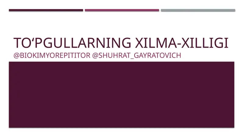 To‘pgullarning Xilma-xilligi