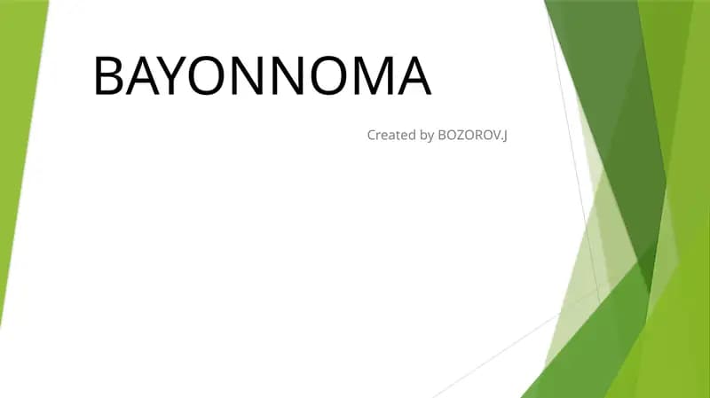 Bayonnoma haqida