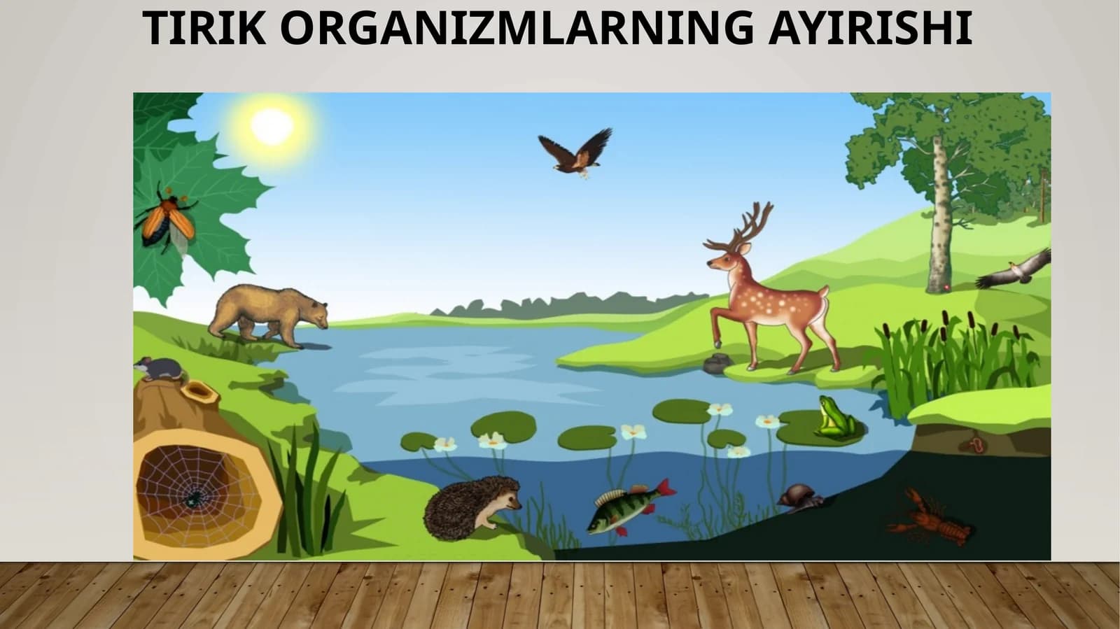 TIRIK ORGANIZMLARNING AYIRISHI