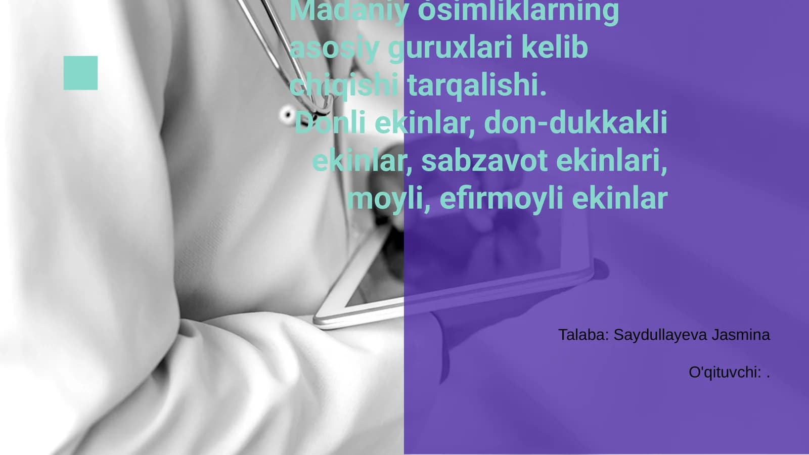 Madaniy òsimliklarning asosiy guruxlari