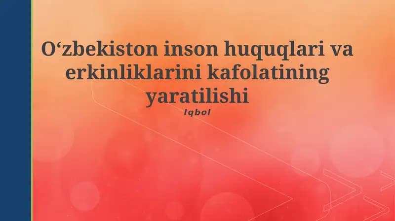 O'zbekiston inson huquqlari va erkinliklarini kafolatining yaratilishi