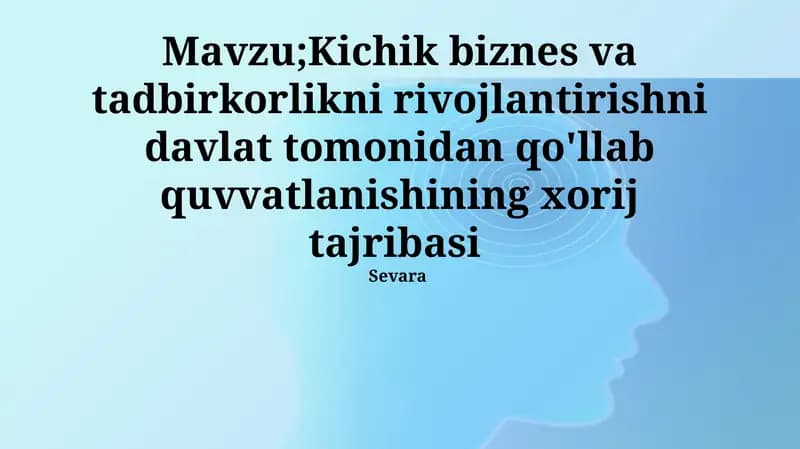 Kichik biznes va tadbirkorlikni rivojlantirishni davlat tomonidan qo'llab quvvatlanishining xorij tajribasi