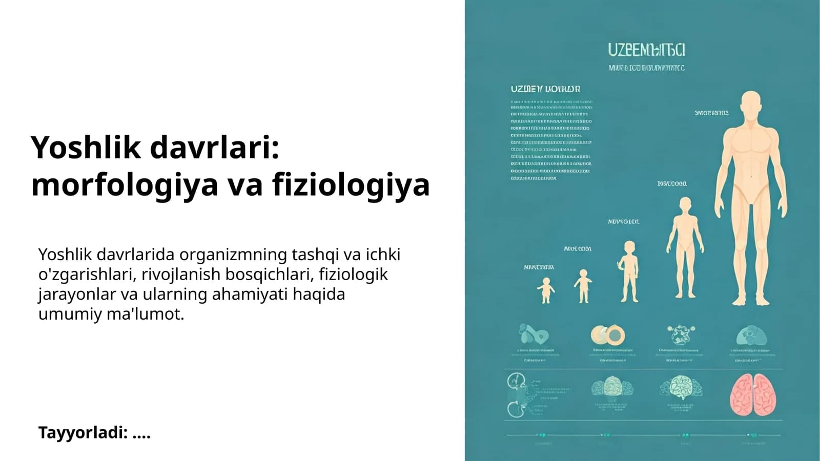 Yoshlik davrlari: morfologiya va fiziologiya