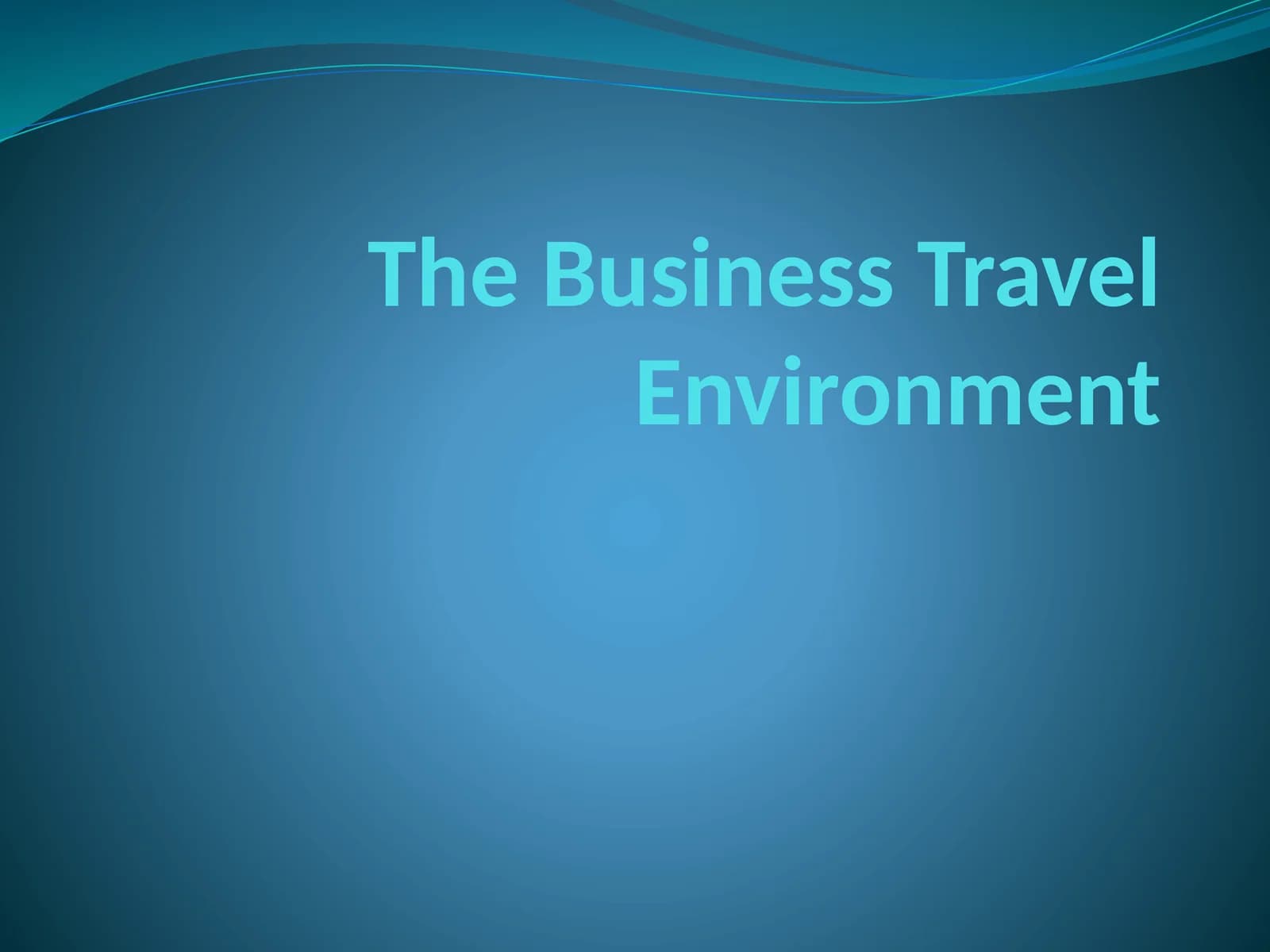 The Business Travel Environment