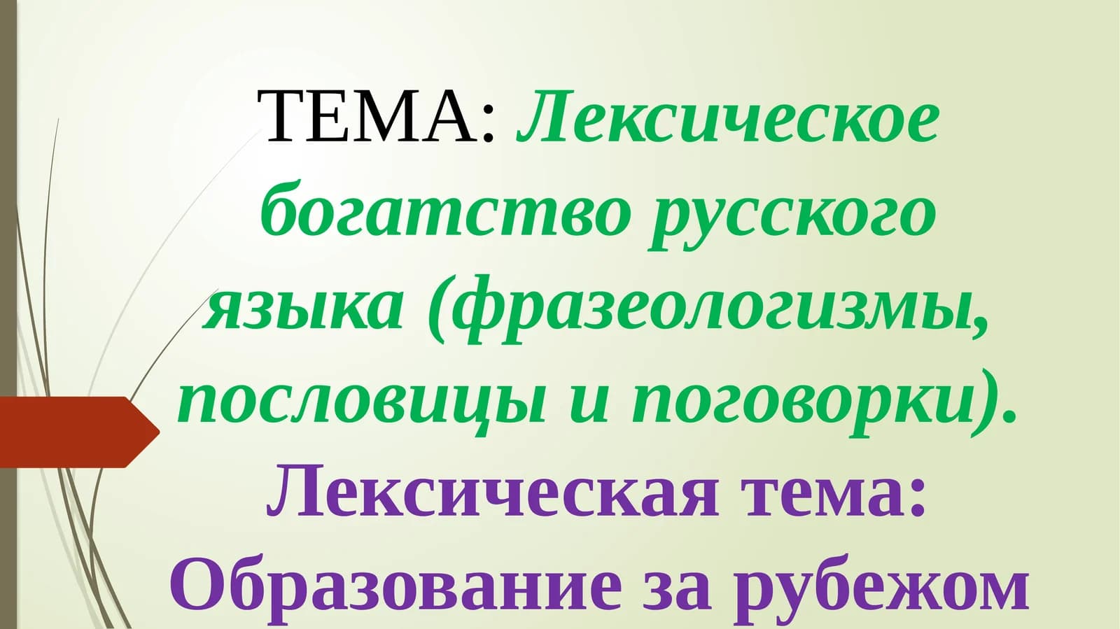 Лексическоебогатство русского языка (фразеологизмы, пословицы и поговорки)