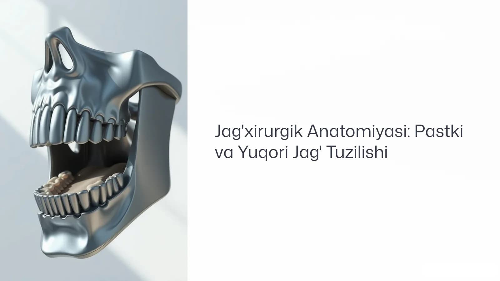 Jag'xirurgik Anatomiyasi: Pastki va Yuqori Jag' Tuzilishi