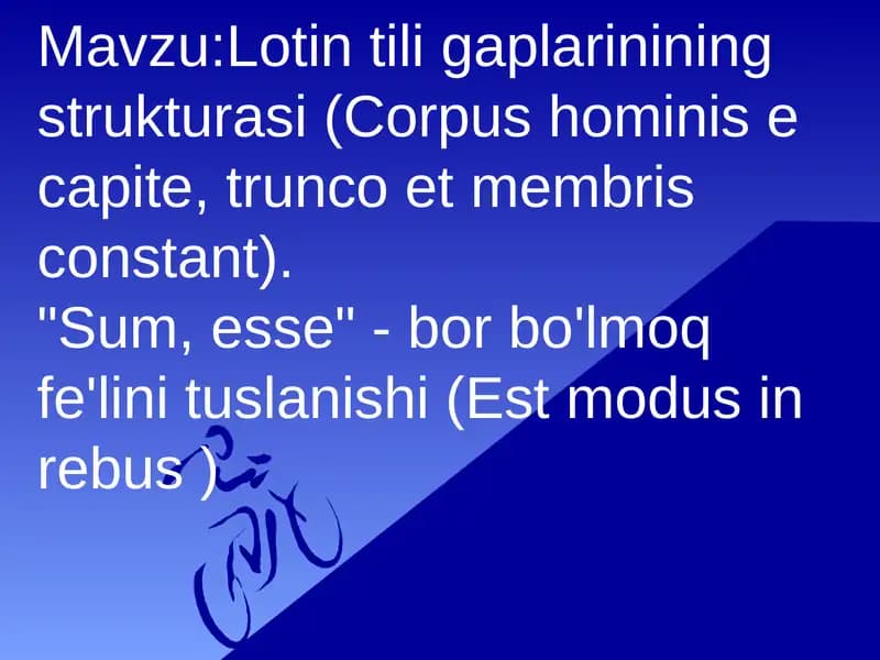 Lotin tili gaplarinining strukturasi