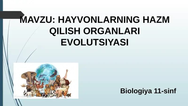 HAYVONLARNING HAZM QILISH ORGANLARI EVOLUTSIYASI