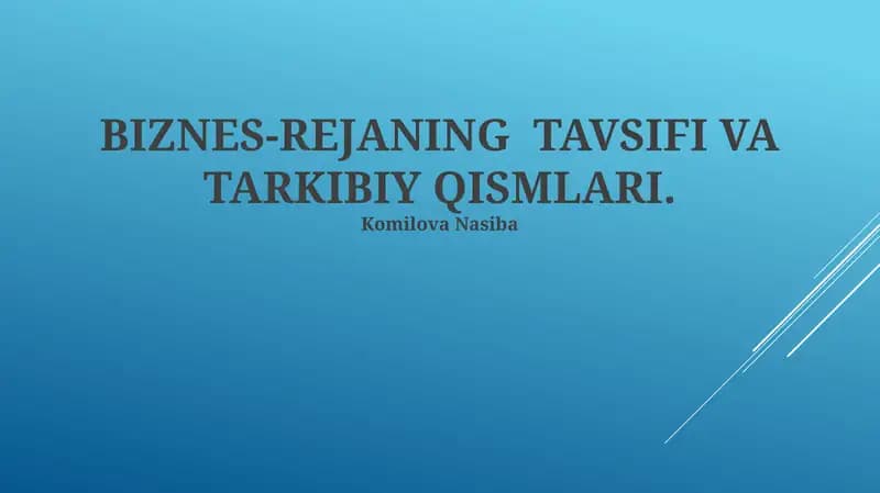 Biznes-rejaning Tavsifi va Tarkibiy Qismlari