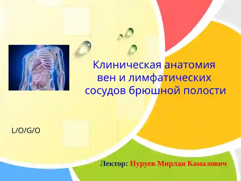 Клиническая анатомия вен и лимфатических сосудов брюшной полости