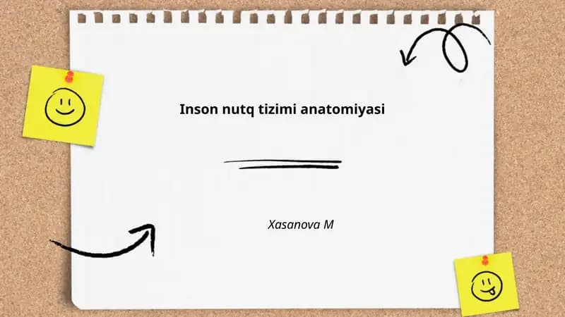 Inson nutq tizimi anatomiyasi