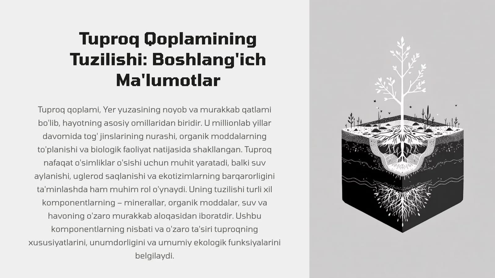 Tuproq Qoplamining Tuzilishi: Boshlang'ich Ma'lumotlar