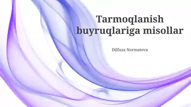Tarmoqlanish buyruqlariga misollar