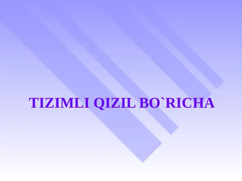 TIZIMLI QIZIL BO`RICHA
