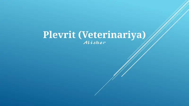 Plevrit (Veterinariya)