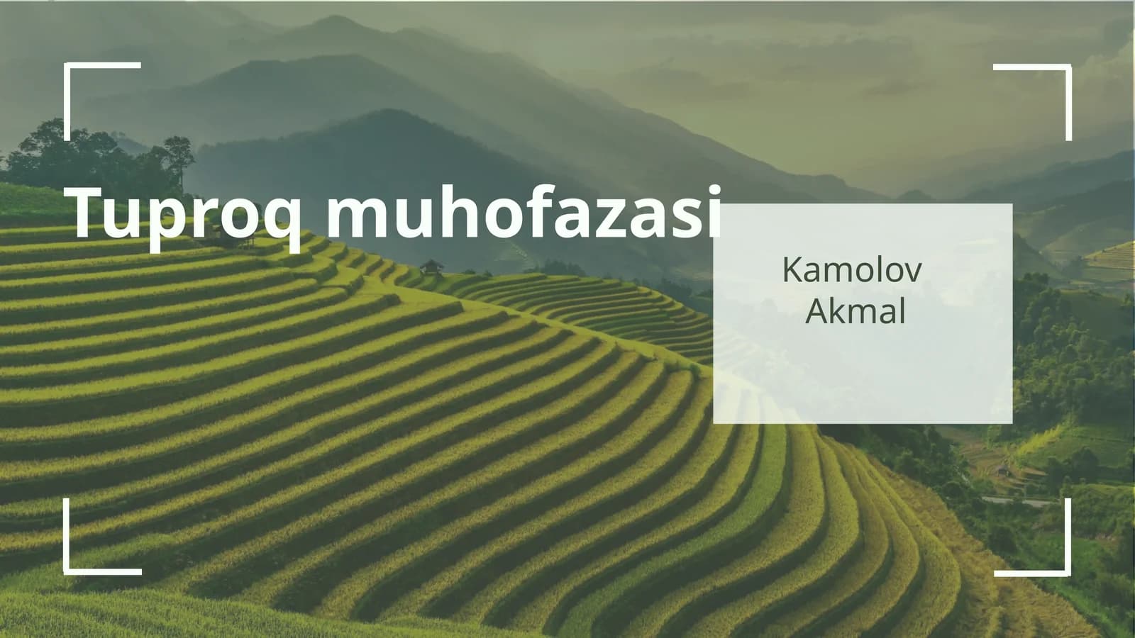 Tuproq muhofazasi