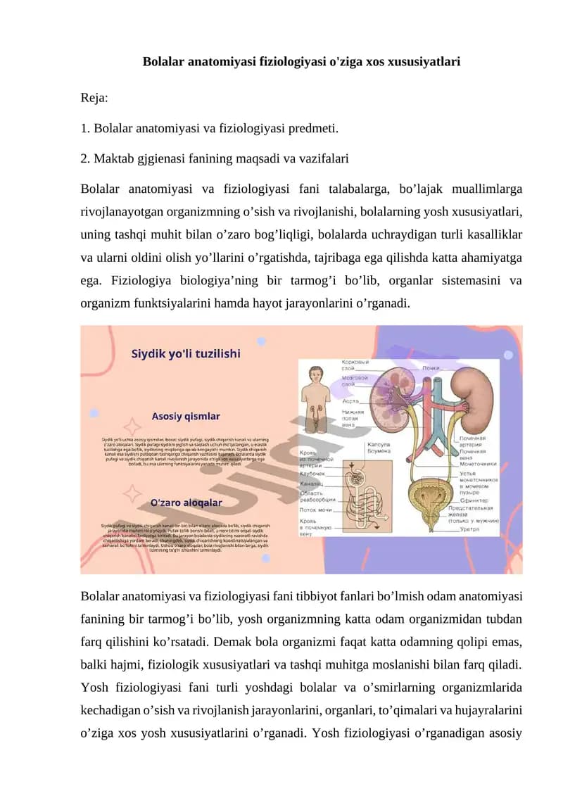 Bolalar anatomiyasi fiziologiyasi o'ziga xos xususiyatlari