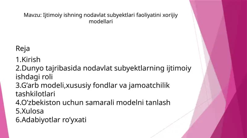 Ijtimoiy ishning nodavlat subyektlari faoliyatini xorijiy modellari