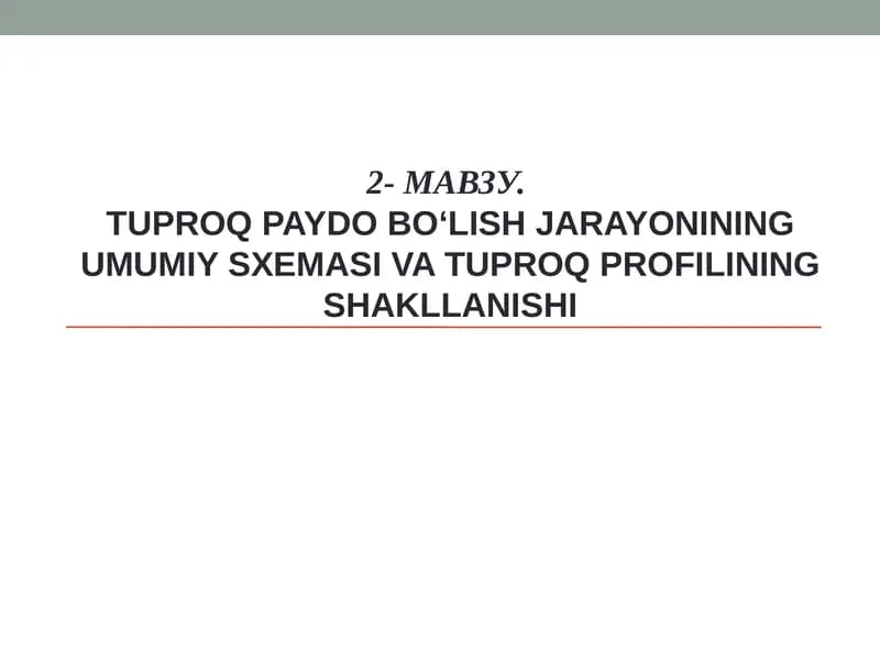 Tuproq paydo bo‘lish jarayonining umumiy sxemasi va tuproq profilining shakllanishi