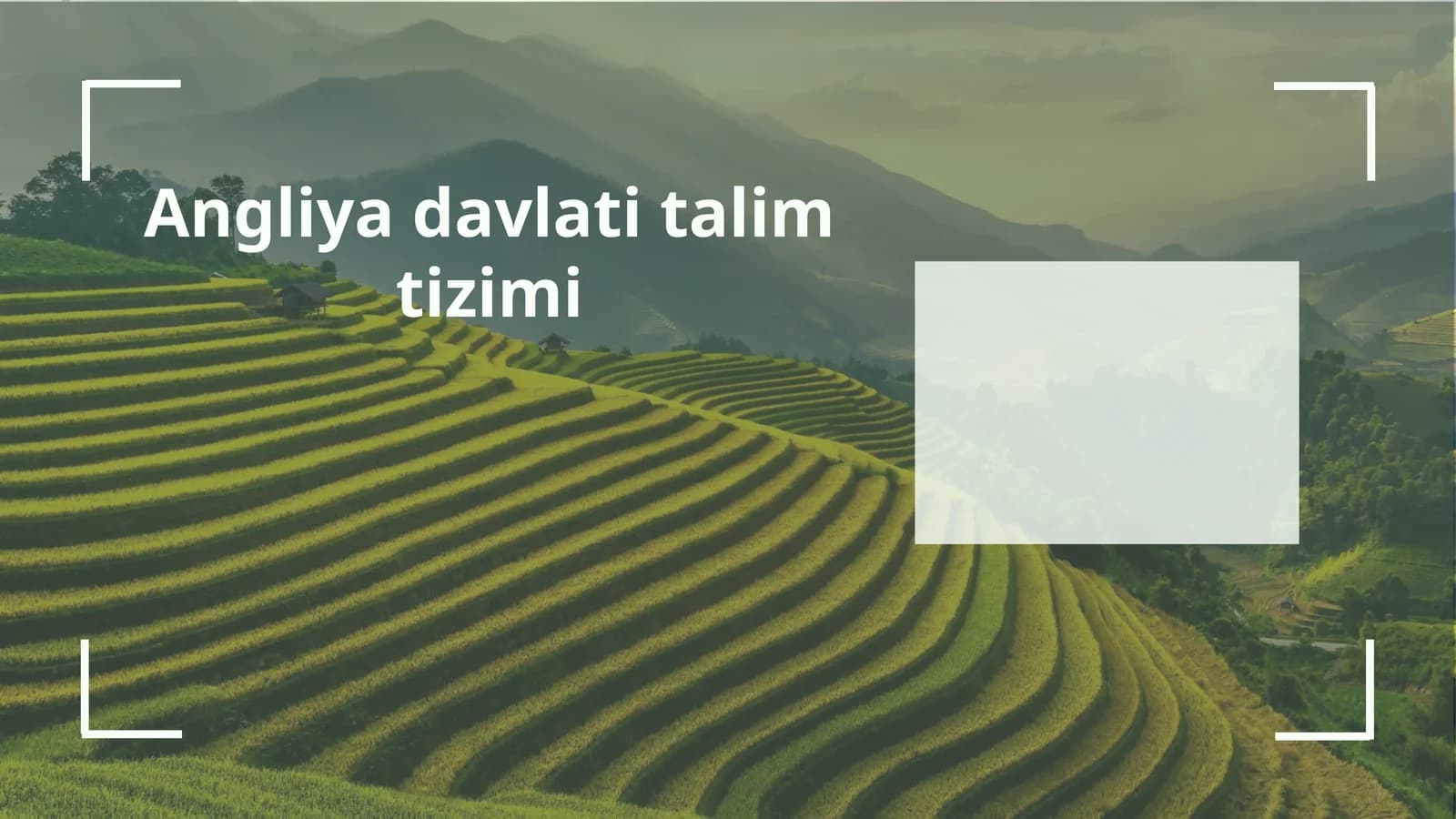 Angliya boshlang'ich ta'lim tizimi