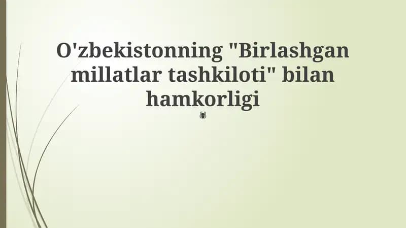 O'zbekiston va BMT: Hamkorlik Tarixi va Asosiy Yo'nalishlar