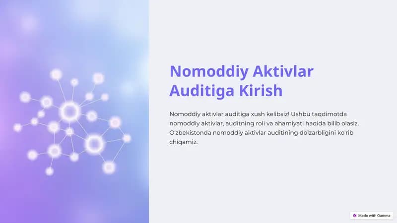 Nomoddiy Aktivlar Auditiga Kirish