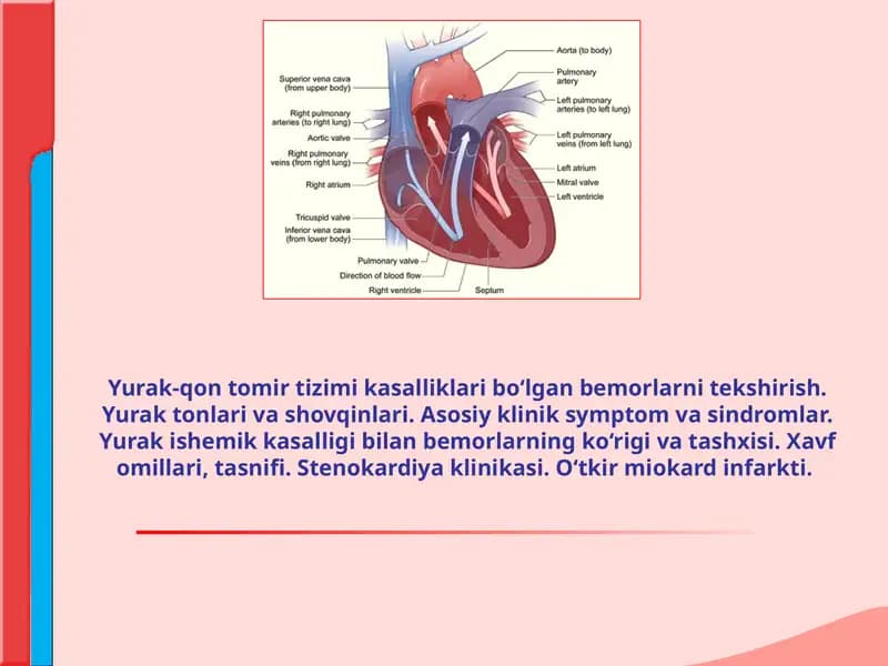Yurak-qon tomir tizimi kasalliklari