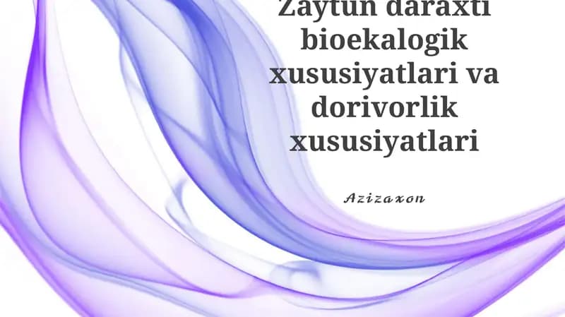 Zaytun daraxti bioekologik xususiyatlari va dorivorlik xususiyatlari