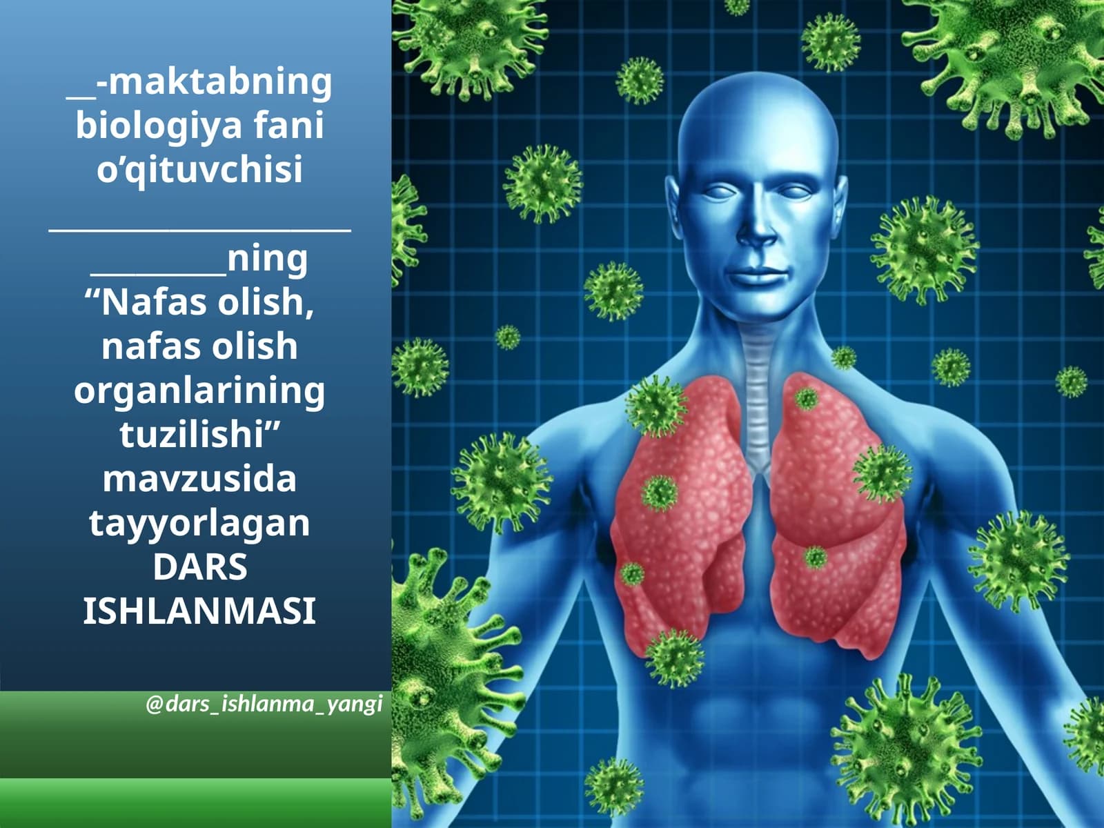 Nafasolish, nafasolish organlarining tuzilishi