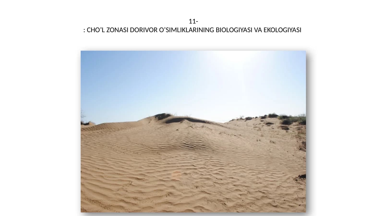 CHO’L ZONASI DORIVOR O’SIMLIKLARINING BIOLOGIYASI VA EKOLOGIYASI