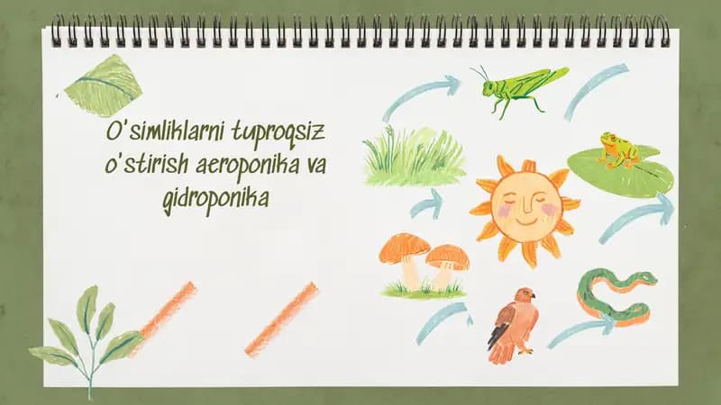 O'simliklarni tuproqsiz o'stirish aeroponika va gidroponika