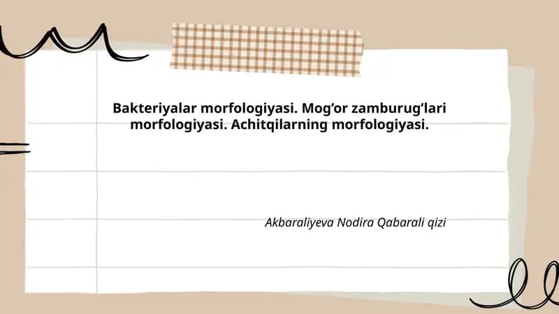 Bakteriyalar morfologiyasi. Mog’or zamburug’lari morfologiyasi. Achitqilarning morfologiyasi