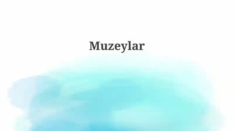 Muzeylar