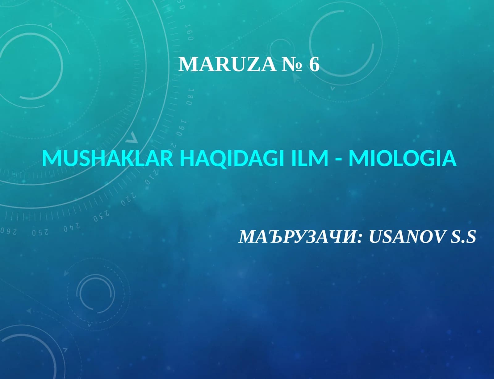 Maruza№6