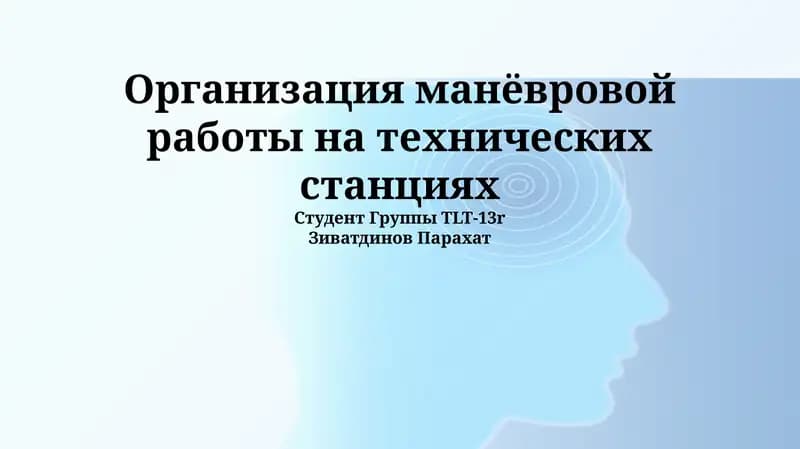 Организация манёвровой работы на технических станциях