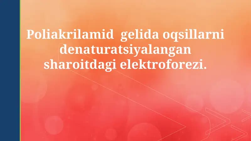 Poliakrilamidli gel elektroforezi
