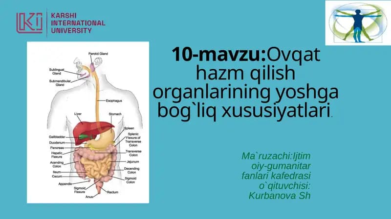 Ovqathazmqilish organlarining yoshgabog`liq xususiyatlari