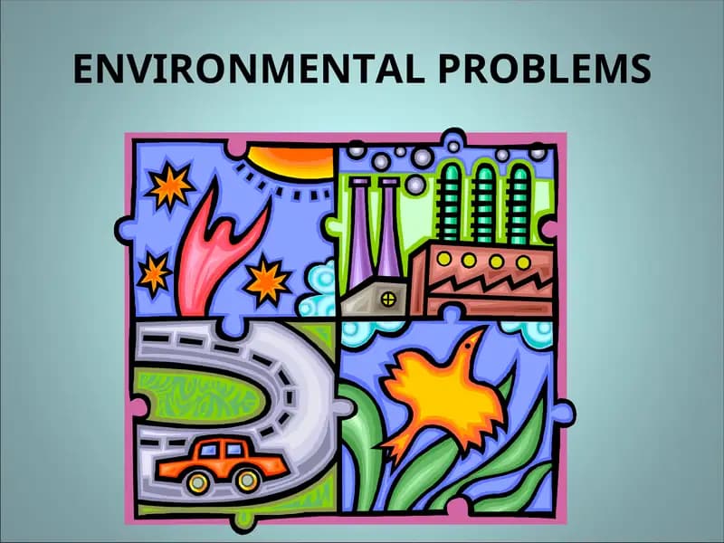 ENVIRONMENTAL PROBLEMS