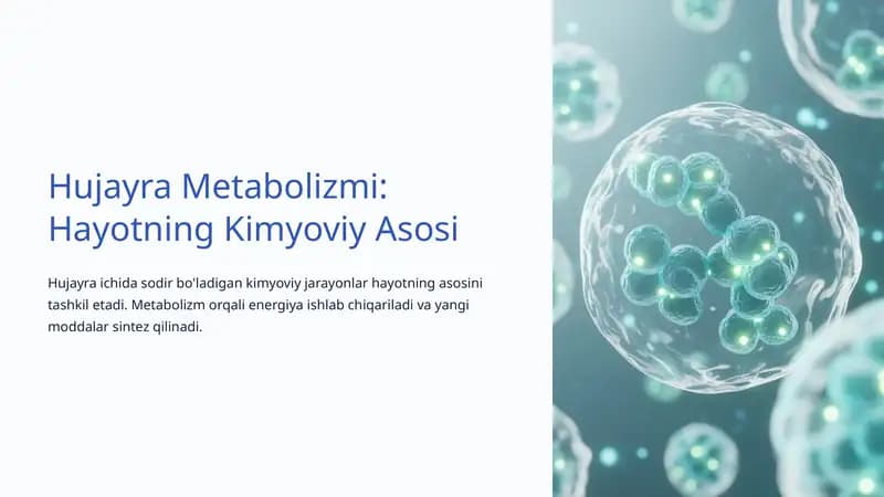 Hujayra Metabolizmi: Hayotning Kimyoviy Asosi