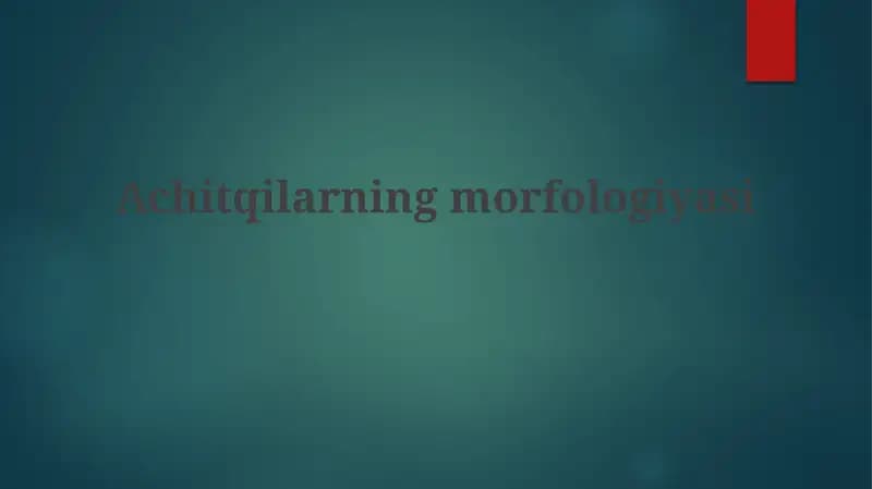 Achitqilarning morfologiyasi