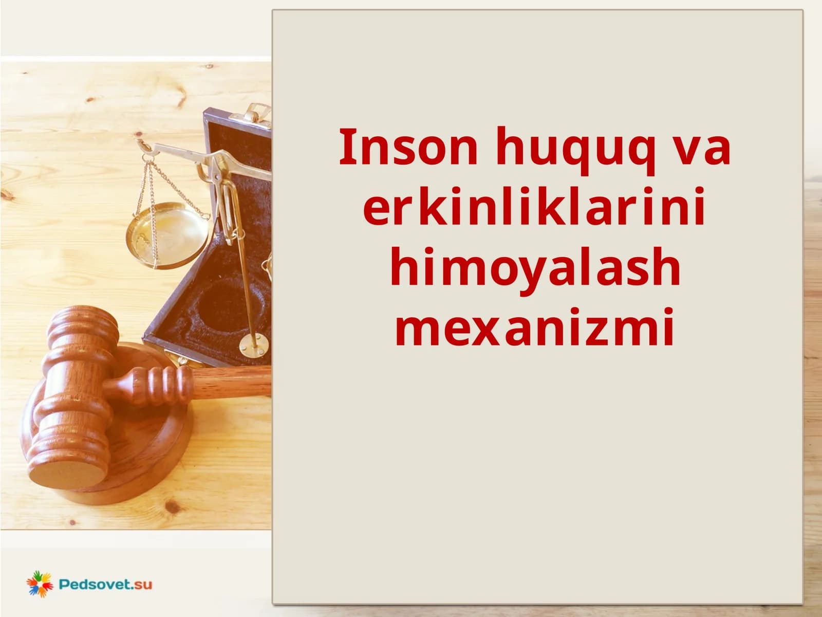 Inson huquq va erkinliklarini himoyalash mexanizmi